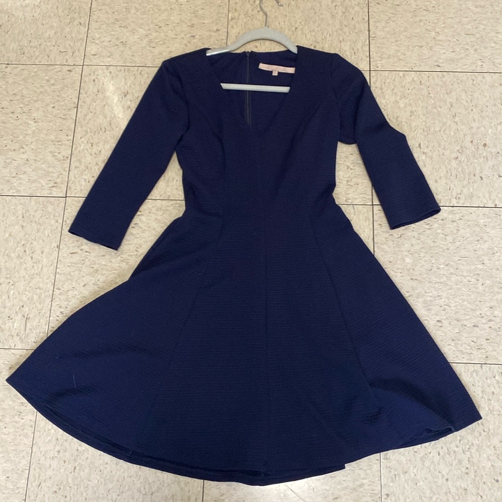 Blue Hutch Dress Fit and Flare Size XS